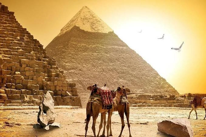 برامج سياحية مخصصة