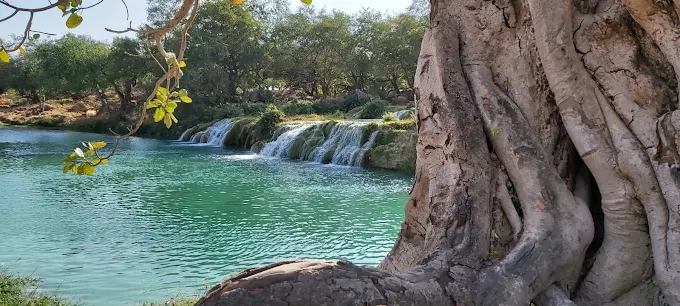 البتراء – رحلة إلى المدينة الوردية